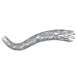 BioMime Morph Tapered Drug Eluting Stent System