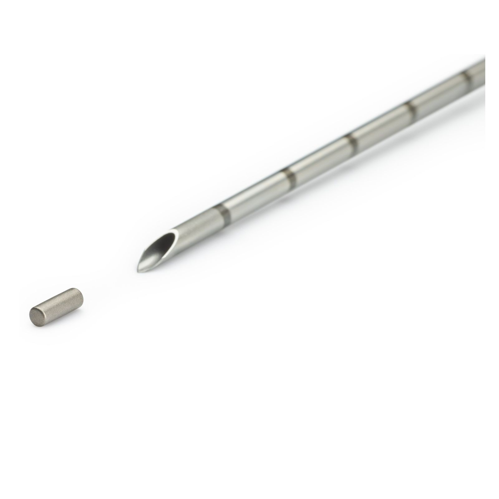 Sirius Pintuition Seed 12cm (pack of 10)