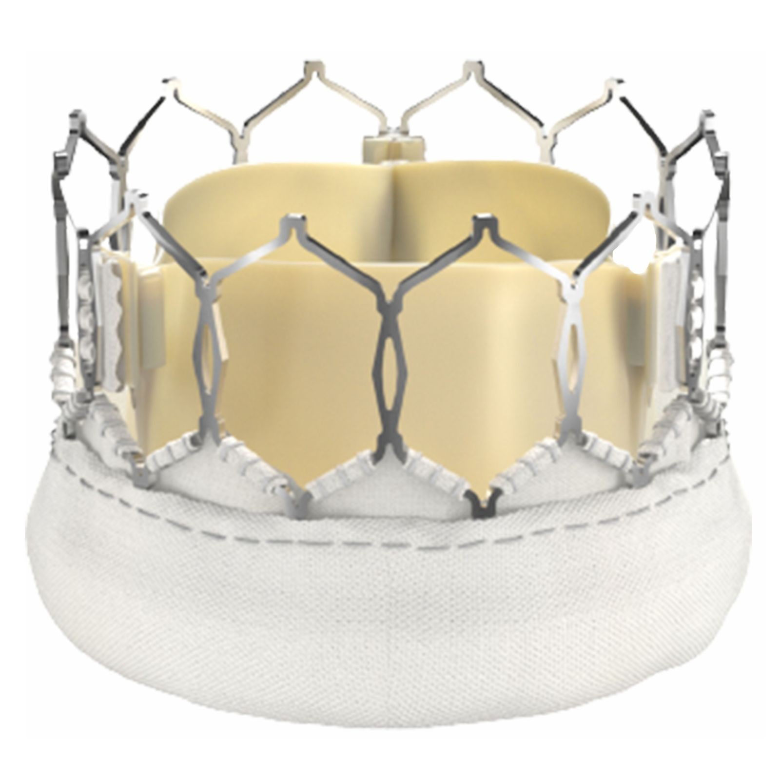 Myval Octacor Transcatheter Heart Valve