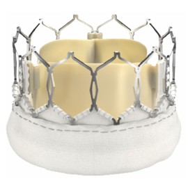 Myval Octacor Transcatheter Heart Valve